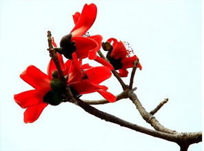 文藝范 沒坐過綠皮火車算什么文藝青年