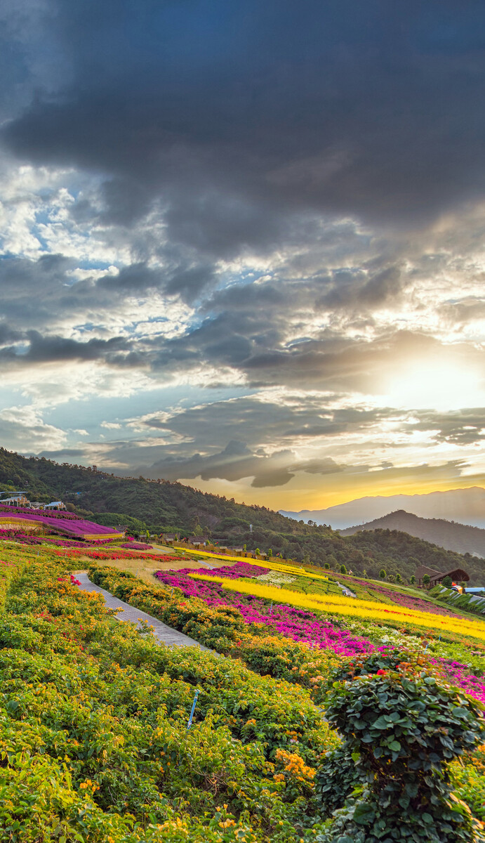 深圳,攀枝花,城市建筑,景觀風光。