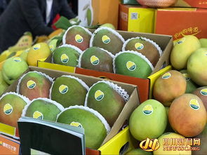 四川農產品 c位 出道 攀枝花芒果郫縣豆瓣等抱團亮相第十六屆國際農交會