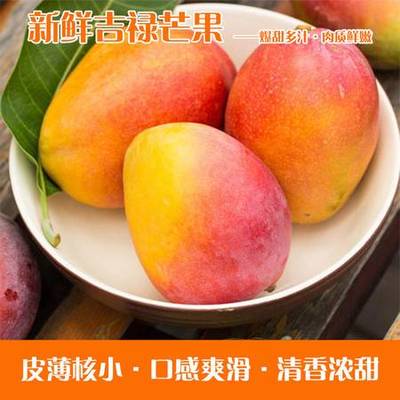 活動產品蕾切爾攀枝花 新鮮采摘吉綠芒果9斤裝整箱買2贈1(贈品5斤裝)
