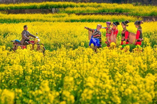 嘿 攀枝花 這些情話我想對(duì)你說上一百遍