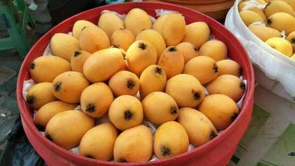 寧波居食坊商戶│來四川攀枝花市,吃過5道算我輸!