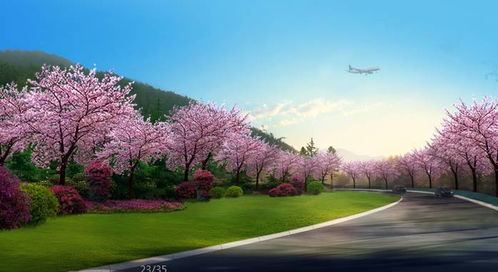 震撼 攀枝花這些地方即將大變樣,漂亮得你認不出來