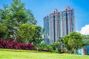 購房正當時 全員營銷月火熱開啟，攀枝花置業享好禮